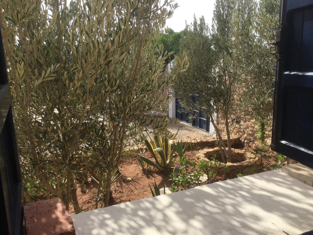 Dar Albatros Guest House Sidi Kaouki Ngoại thất bức ảnh